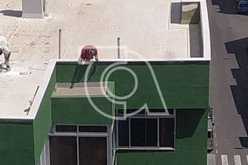 Temeridad en las alturas (Foto TA)